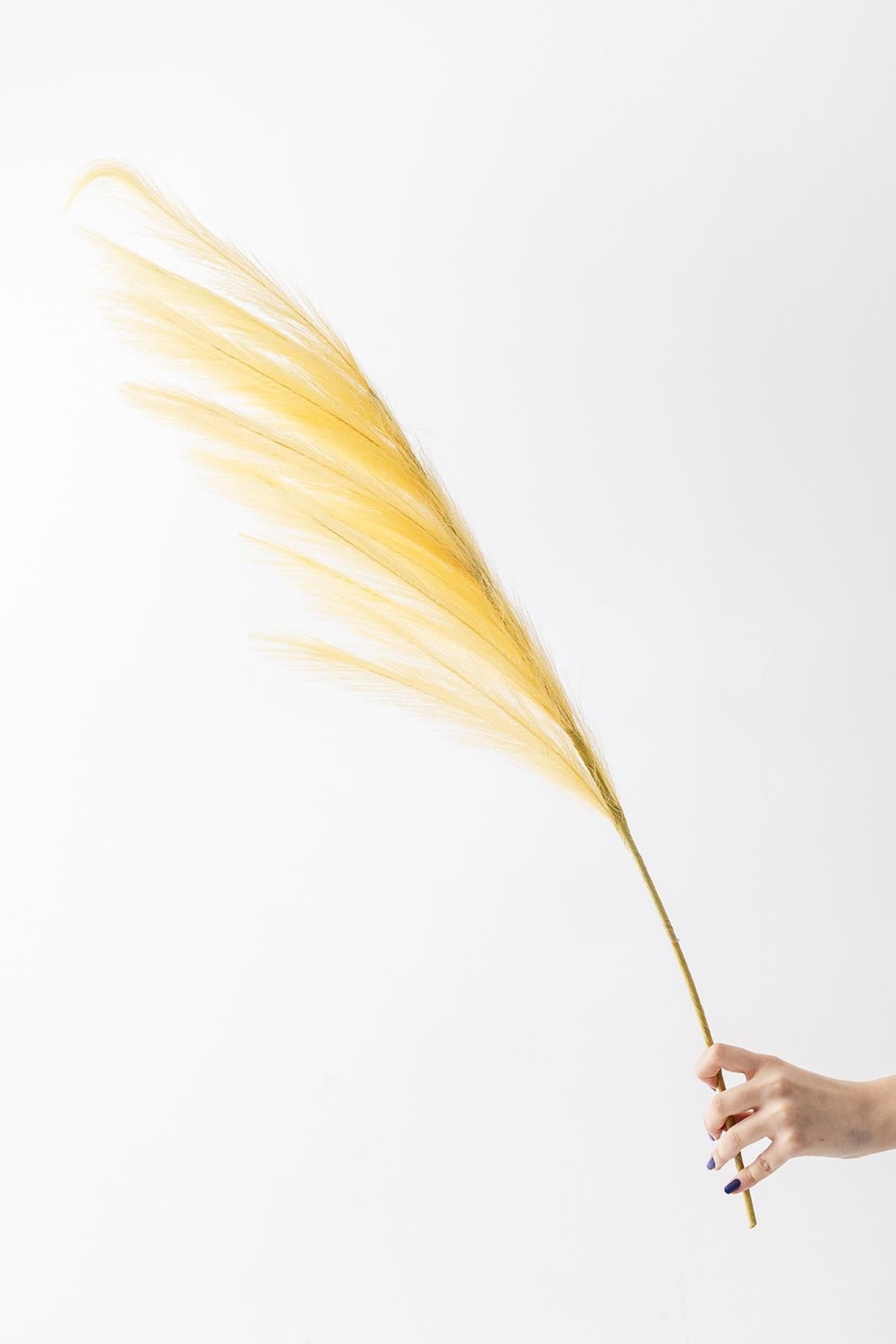 Dikey Dekor - yapay pampas cicegi 100 cm tek dal sari 5043 Toptan Yapay Pampas Çiçeği 100 Cm Tek Dal Sarı - Görsel 3