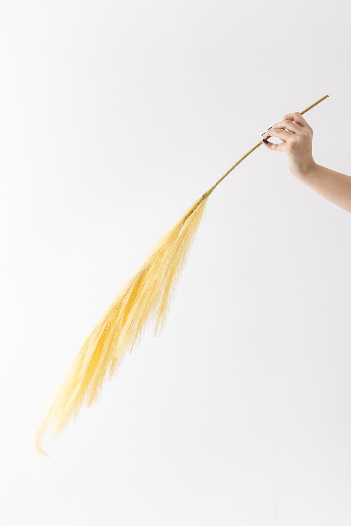 Dikey Dekor - yapay pampas cicegi 100 cm tek dal sari 5044 Toptan Yapay Pampas Çiçeği 100 Cm Tek Dal Sarı - Görsel 4