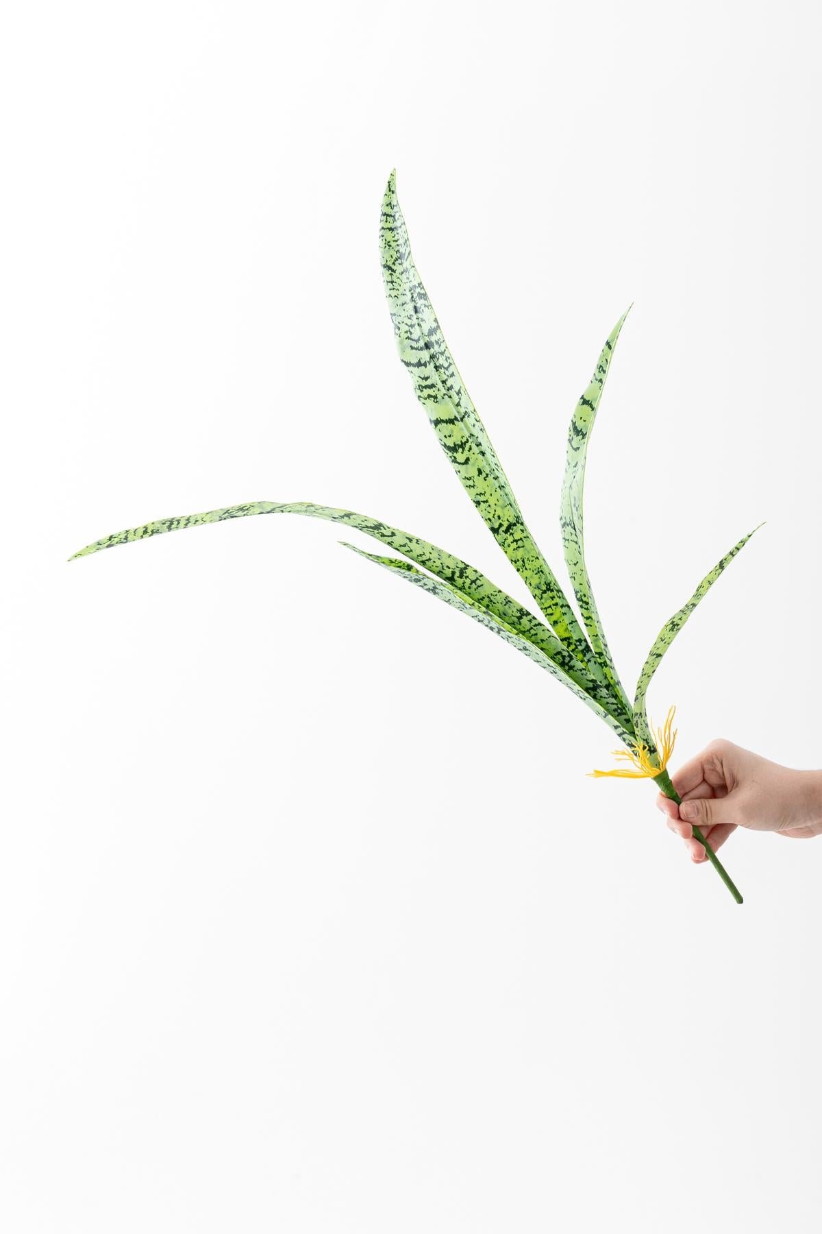 Dikey Dekor - yapay pasa kilici 70 cm 5 dal lux 8578 Toptan Yapay Paşa Kılıçı 70 Cm 5 Dal (Lux) - Görsel 2
