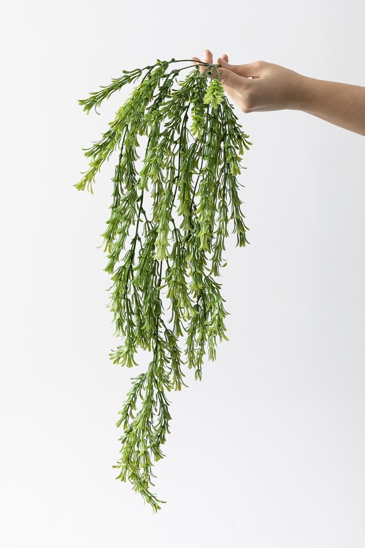 Dikey Dekor - yapay puskullu sarmasik uv korumali yesil 80 cm 5 dal 3832 Toptan Yapay Püsküllü Sarmaşık (Uv) Korumalı Yeşil 80 Cm 5 Dal (Uv) - Görsel 3