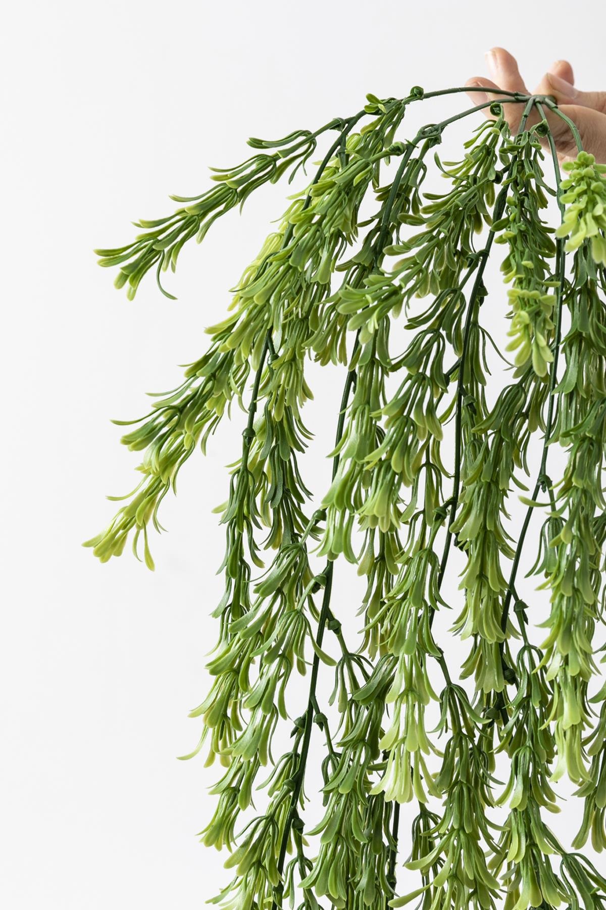 Dikey Dekor - yapay puskullu sarmasik uv korumali yesil 80 cm 5 dal 3833 Toptan Yapay Püsküllü Sarmaşık (Uv) Korumalı Yeşil 80 Cm 5 Dal (Uv) - Görsel 4