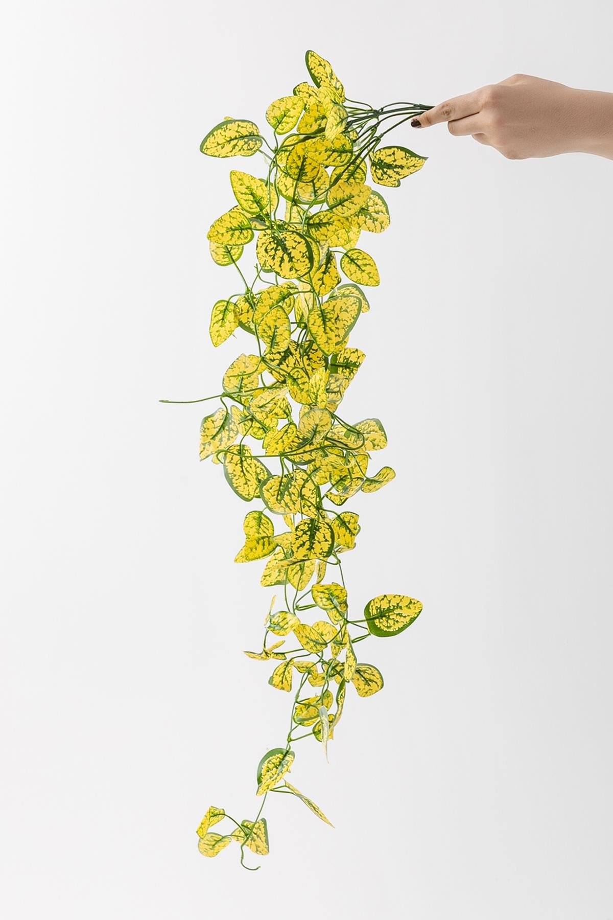 Dikey Dekor - yapay renkli sarmasik 80 cm 5 dal sari 5797 Toptan Yapay Renkli Sarmaşık 80 Cm 5 Dal Sarı - Görsel 3