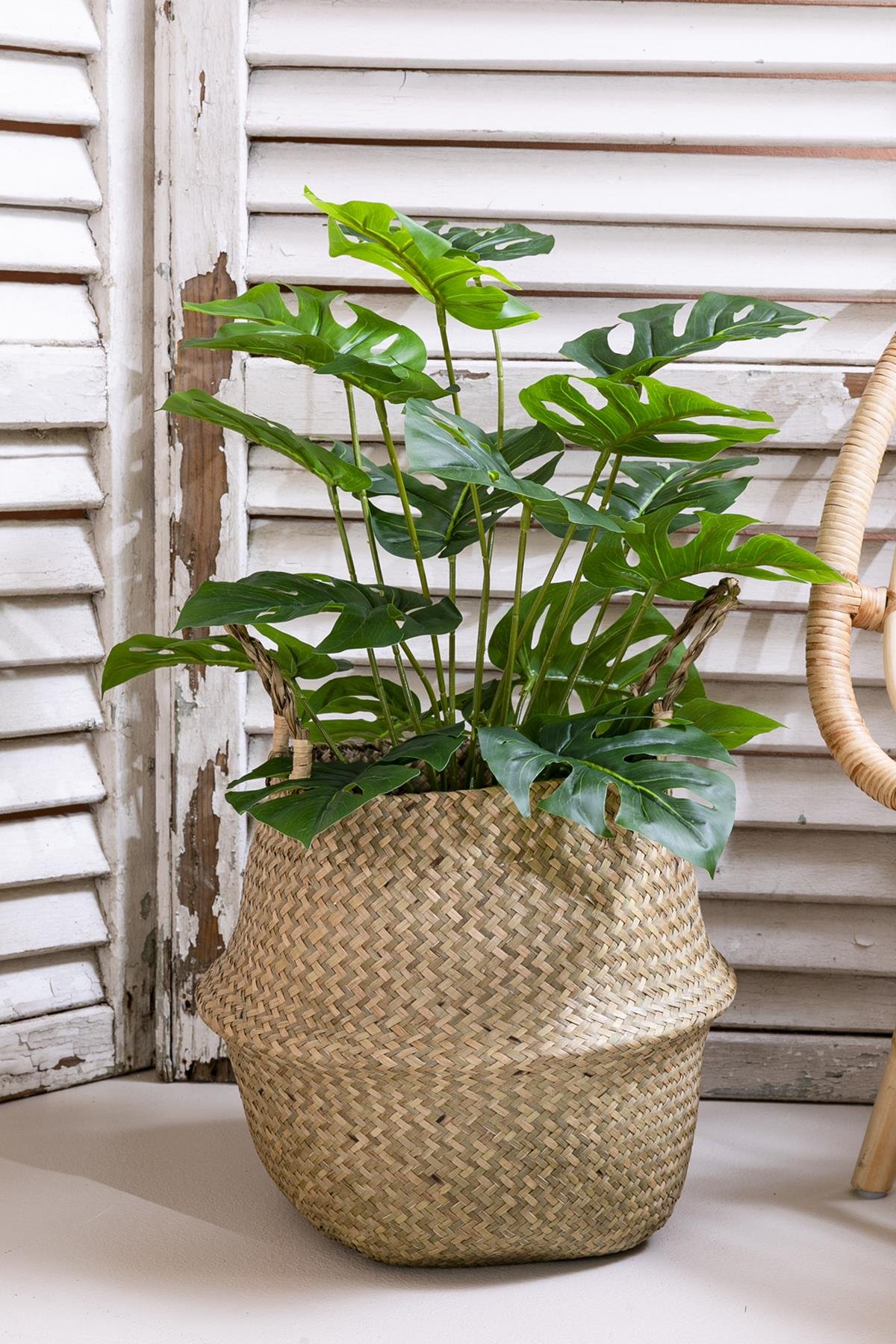 Dikey Dekor - yapay salon kose cicegi 65 cm devetabani saksisiz 4928 Toptan Yapay Salon Köşe Çiçeği 65 Cm Devetabanı (Saksısız) - Görsel 2