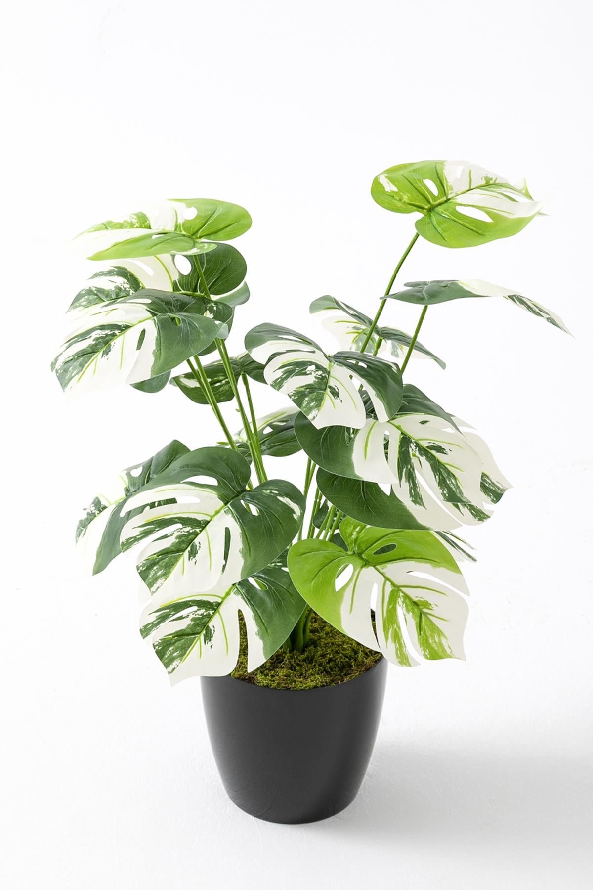 Dikey Dekor - yapay salon kose cicegi devetabani beyaz 65 cm 4934 Toptan Yapay Salon Köşe Çiçeği Devetabanı Beyaz 65 Cm - Görsel 3