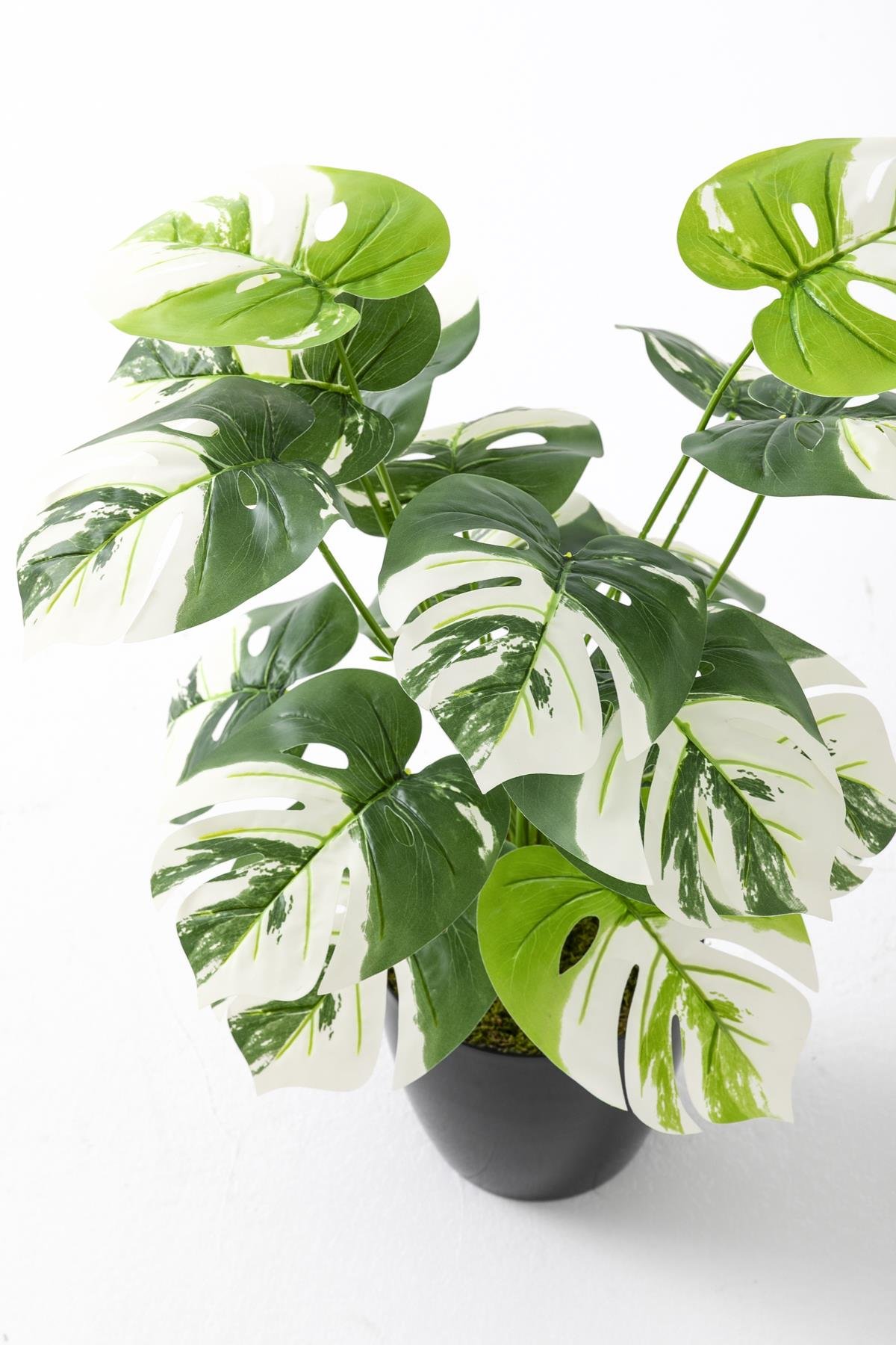 Dikey Dekor - yapay salon kose cicegi devetabani beyaz 65 cm 4935 Toptan Yapay Salon Köşe Çiçeği Devetabanı Beyaz 65 Cm - Görsel 4