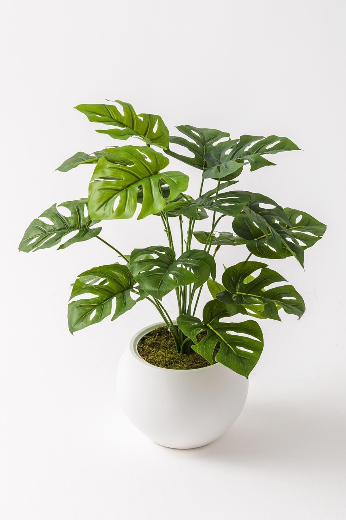Dikey Dekor - yapay salon kose cicegi devetabani yesil 65 cm kure saksi 5091 Toptan Yapay Salon Köşe Çiçeği Devetabanı Yeşil 65 Cm Küre Saksı - Görsel 3