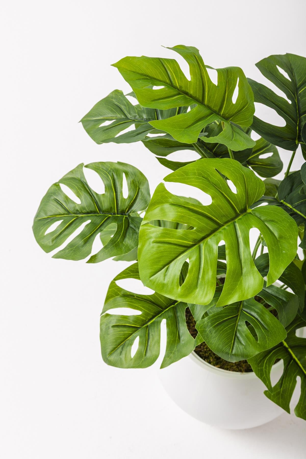 Dikey Dekor - yapay salon kose cicegi devetabani yesil 65 cm kure saksi 5092 Toptan Yapay Salon Köşe Çiçeği Devetabanı Yeşil 65 Cm Küre Saksı - Görsel 4