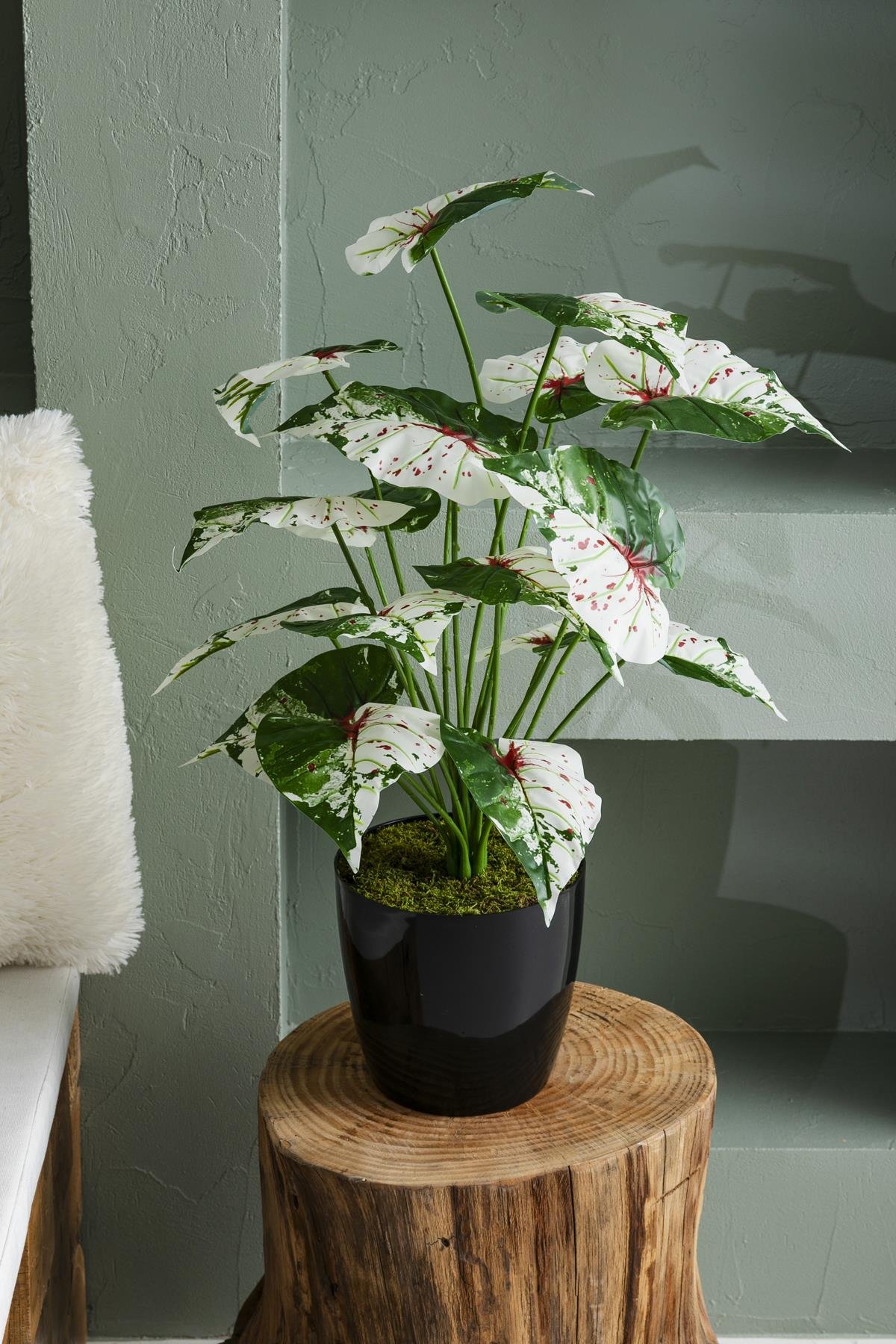 Dikey Dekor - yapay salon kose cicegi devetabani yesil pembe 65 cm 4953 Toptan Yapay Salon Köşe Çiçeği Devetabanı Yeşil Pembe 65 Cm - Görsel 2