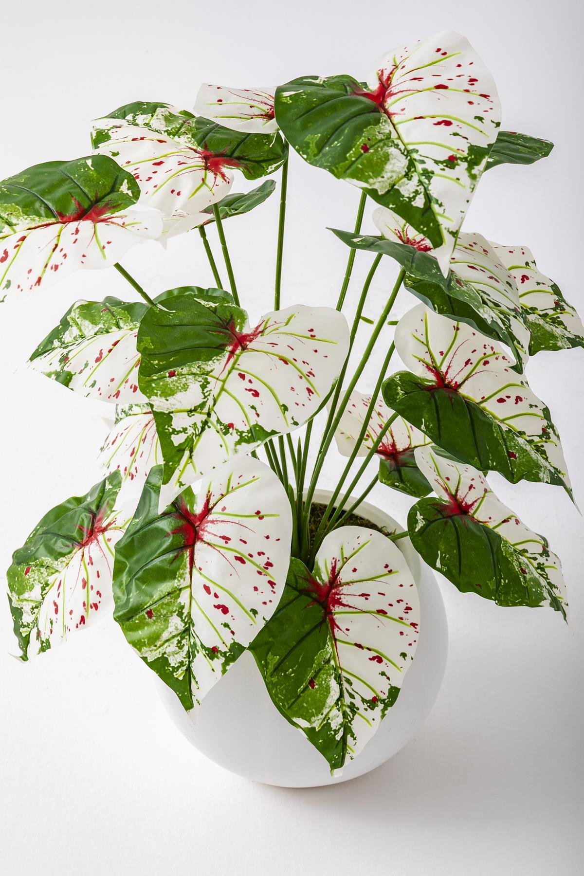 Dikey Dekor - yapay salon kose cicegi devetabani yesil pembe 65 cm kure saksi 5062 Toptan Yapay Salon Köşe Çiçeği Devetabanı Yeşil Pembe 65 Cm Küre Saksı - Görsel 3