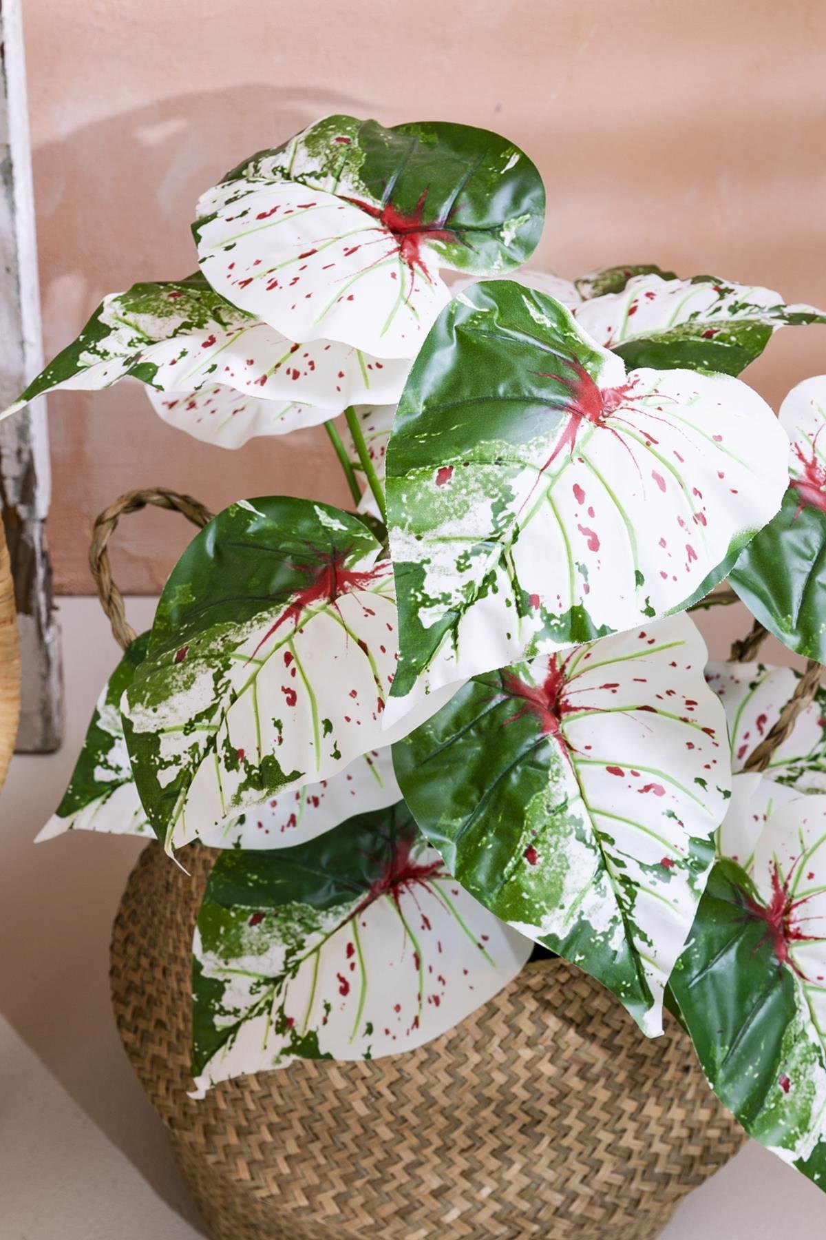 Dikey Dekor - yapay salon kose cicegi devetabani yesil pembe 65 cm saksisiz 4967 Toptan Yapay Salon Köşe Çiçeği Devetabanı Yeşil Pembe 65 Cm Saksısız - Görsel 2