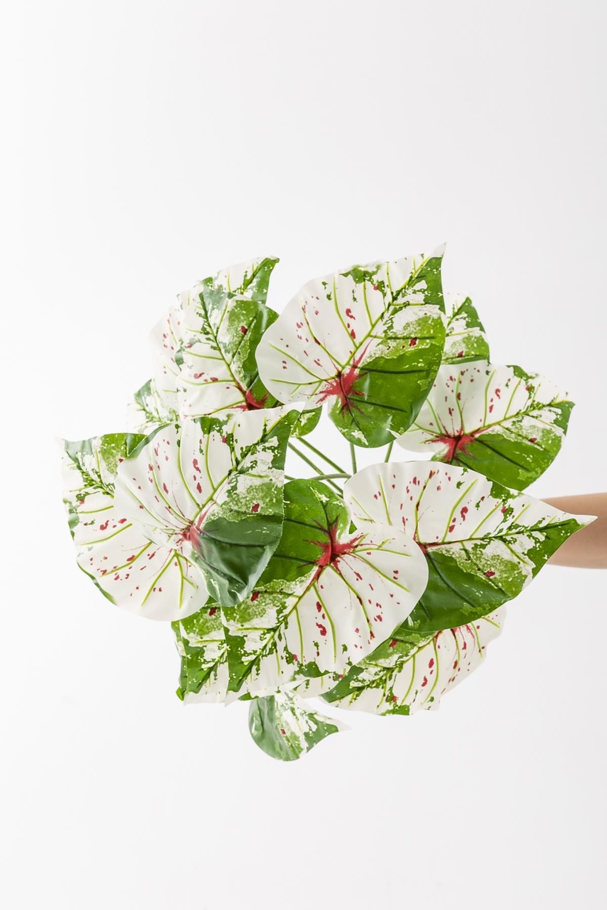 Dikey Dekor - yapay salon kose cicegi devetabani yesil pembe 65 cm saksisiz 4968 Toptan Yapay Salon Köşe Çiçeği Devetabanı Yeşil Pembe 65 Cm Saksısız - Görsel 3
