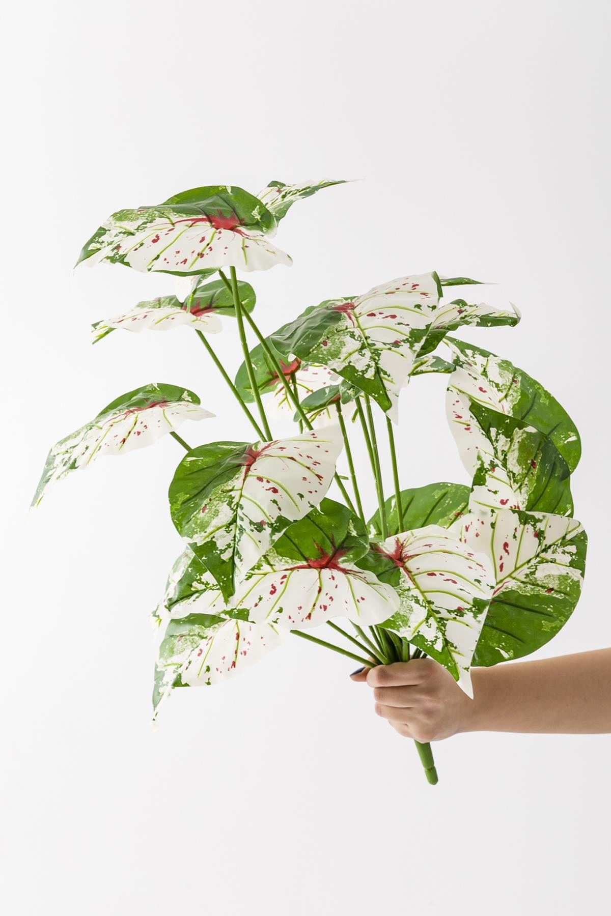 Dikey Dekor - yapay salon kose cicegi devetabani yesil pembe 65 cm saksisiz 4969 Toptan Yapay Salon Köşe Çiçeği Devetabanı Yeşil Pembe 65 Cm Saksısız - Görsel 4