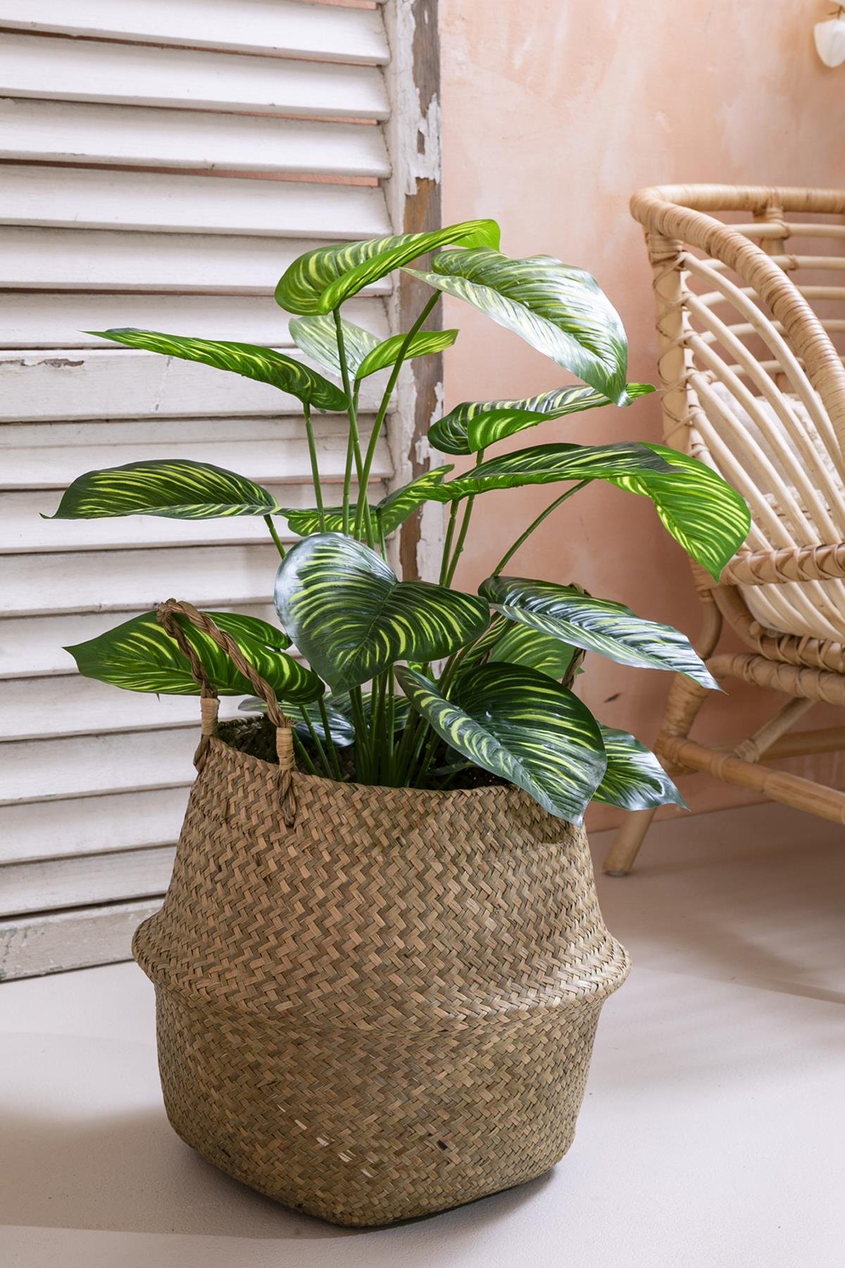 Dikey Dekor - yapay salon kose cicegi devetabani yesil sari 65 cm 4943 Toptan Yapay Salon Köşe Çiçeği Devetabanı Yeşil Sarı 65 Cm - Görsel 2