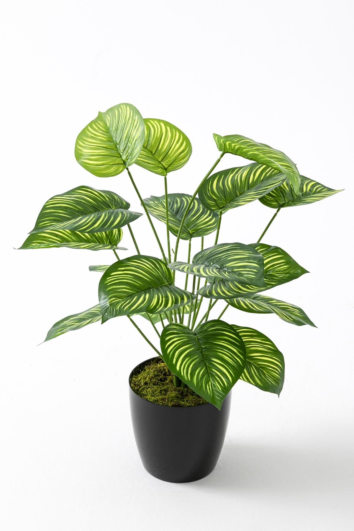 Dikey Dekor - yapay salon kose cicegi devetabani yesil sari 65 cm 4944 Toptan Yapay Salon Köşe Çiçeği Devetabanı Yeşil Sarı 65 Cm - Görsel 3