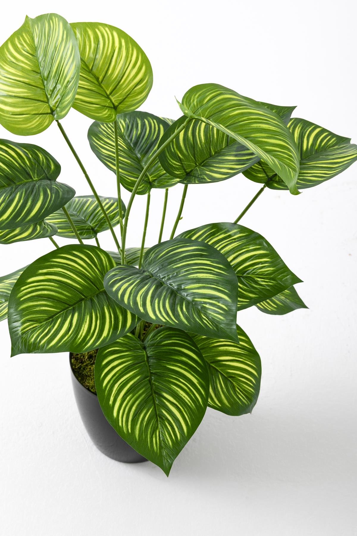 Dikey Dekor - yapay salon kose cicegi devetabani yesil sari 65 cm 4945 Toptan Yapay Salon Köşe Çiçeği Devetabanı Yeşil Sarı 65 Cm - Görsel 4