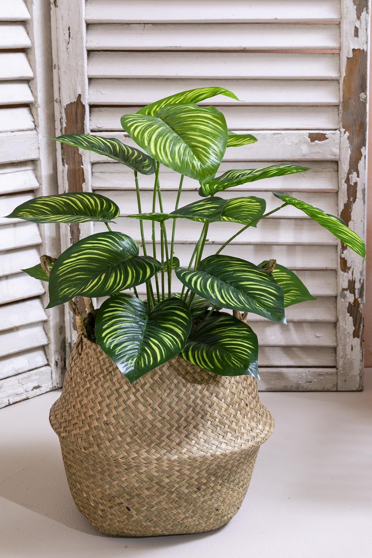 Dikey Dekor - yapay salon kose cicegi devetabani yesil sari 65 cm saksisiz 4959 Toptan Yapay Salon Köşe Çiçeği Devetabanı Yeşil Sarı 65 Cm Saksısız - Görsel 2
