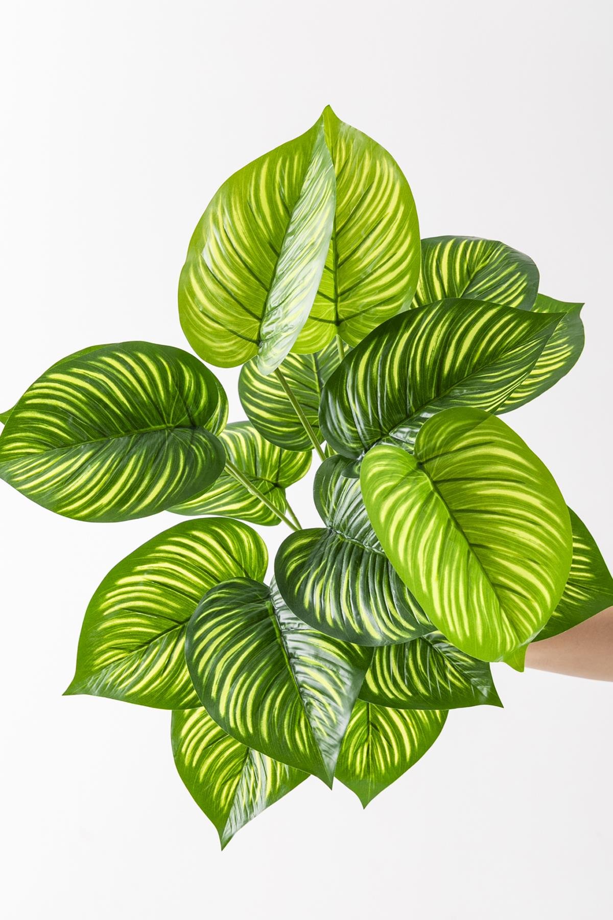 Dikey Dekor - yapay salon kose cicegi devetabani yesil sari 65 cm saksisiz 4960 Toptan Yapay Salon Köşe Çiçeği Devetabanı Yeşil Sarı 65 Cm Saksısız - Görsel 3