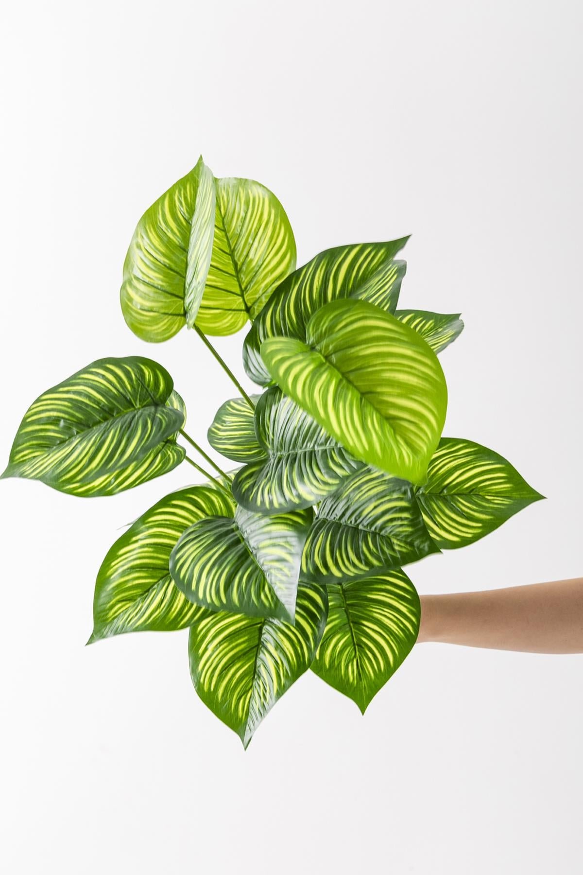 Dikey Dekor - yapay salon kose cicegi devetabani yesil sari 65 cm saksisiz 4961 Toptan Yapay Salon Köşe Çiçeği Devetabanı Yeşil Sarı 65 Cm Saksısız - Görsel 4