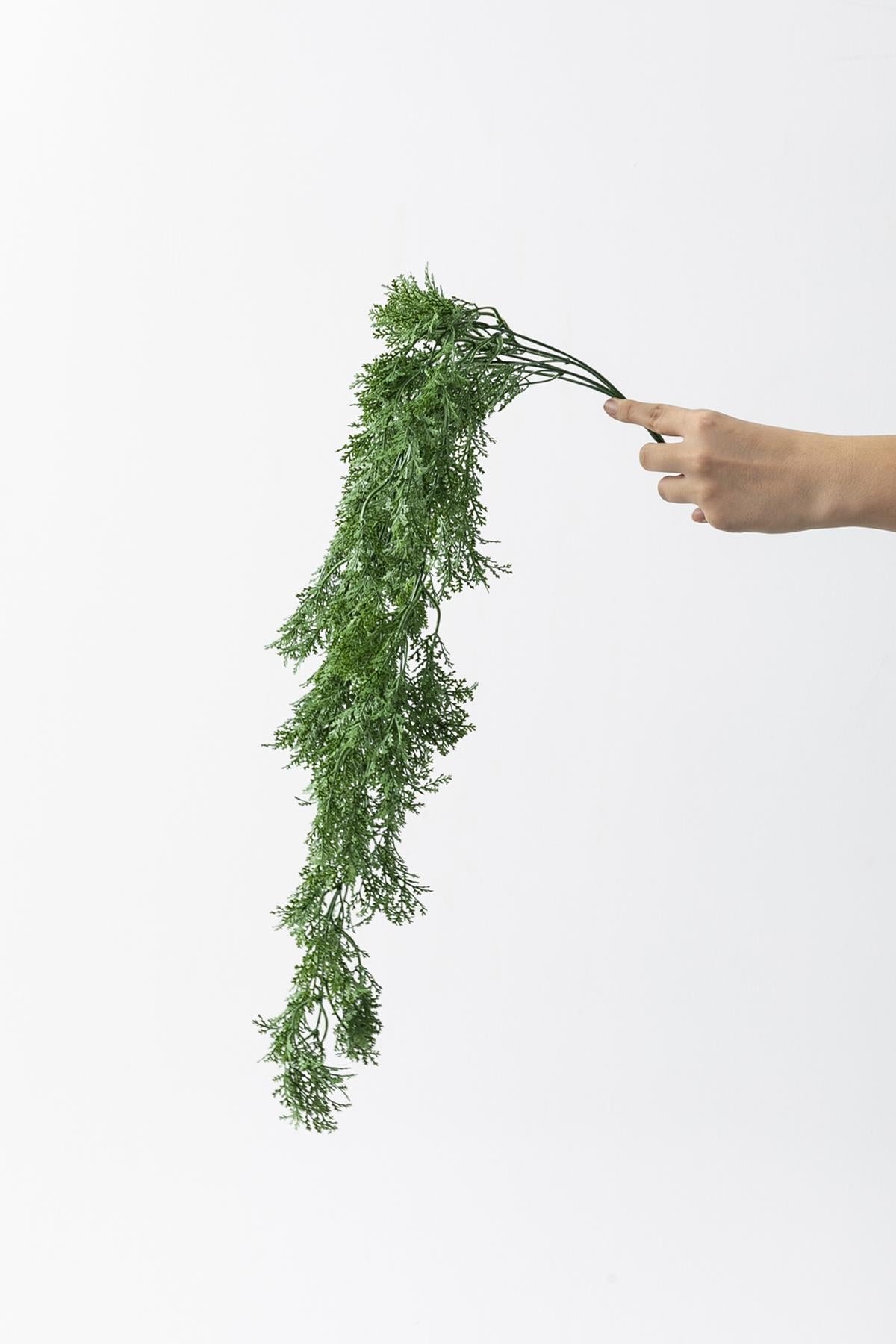 Dikey Dekor - yapay sarmasik kuskonmaz uv korumali 75 cm 5 dal 3775 Toptan Yapay Sarmaşık Kuşkonmaz (Uv) Korumalı 75 Cm 5 Dal (Uv) - Görsel 4