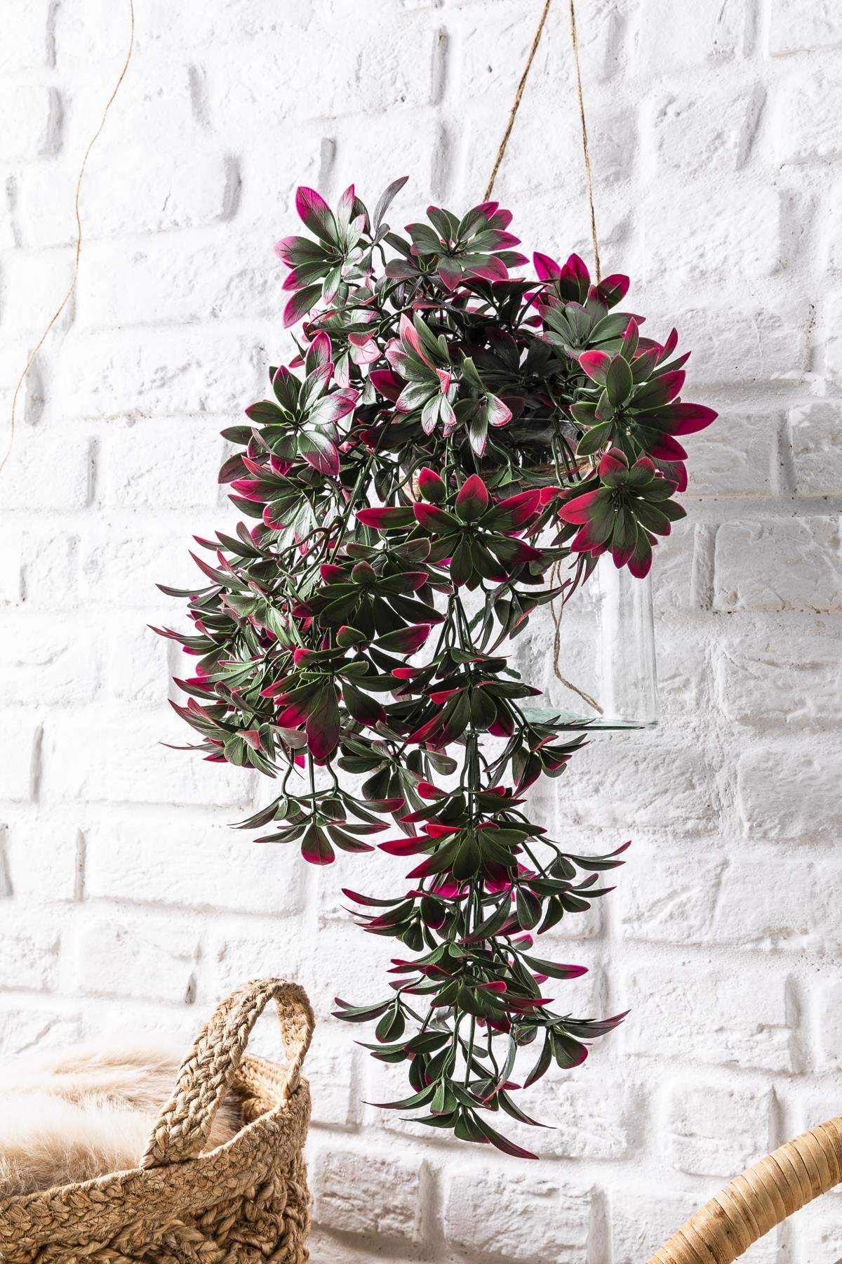 Dikey Dekor - yapay sarmasik seflore uv korumali yesil pembe 80 cm 5 dal 4169 Toptan Yapay Sarmaşık Şeflore (Uv) Korumalı Yeşil Pembe 80 Cm 5 Dal (Uv) - Görsel 2