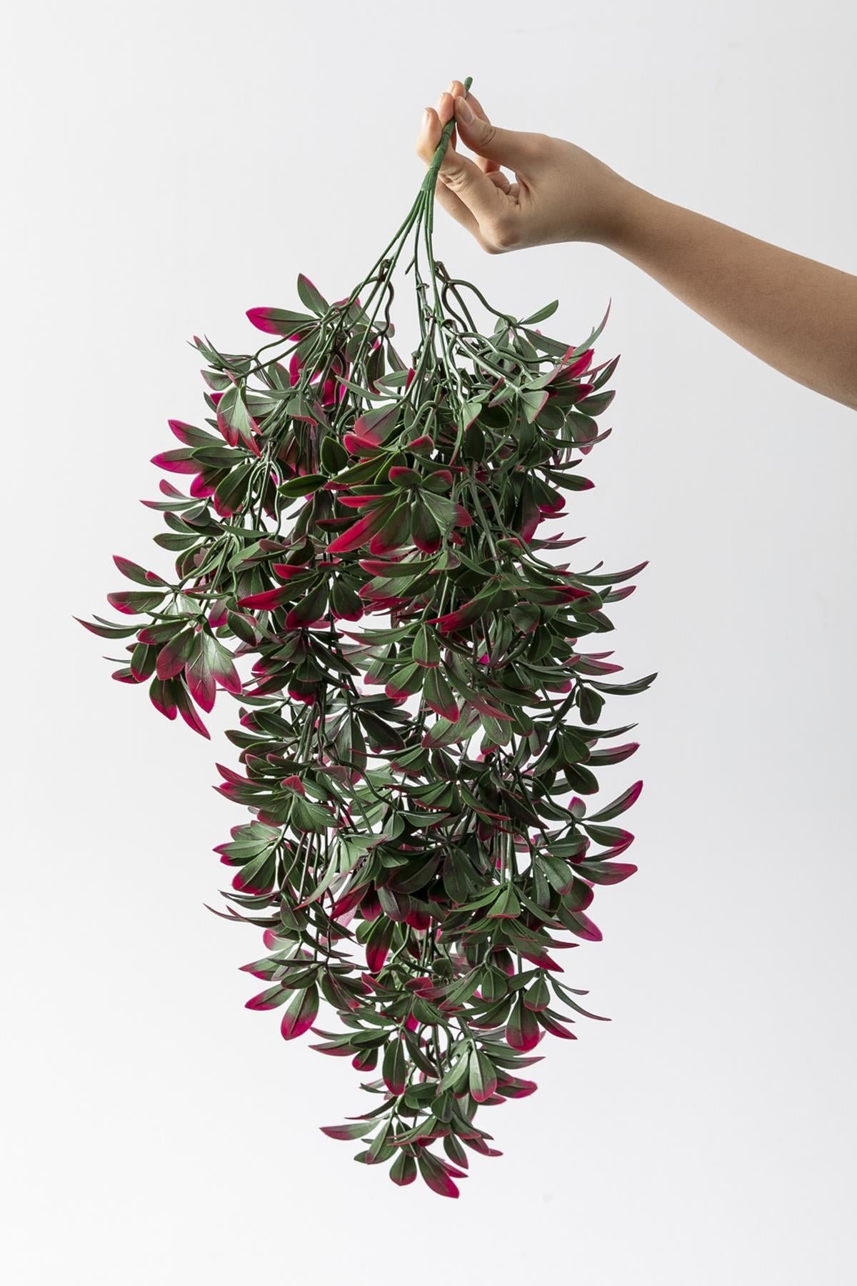 Dikey Dekor - yapay sarmasik seflore uv korumali yesil pembe 80 cm 5 dal 4170 Toptan Yapay Sarmaşık Şeflore (Uv) Korumalı Yeşil Pembe 80 Cm 5 Dal (Uv) - Görsel 3