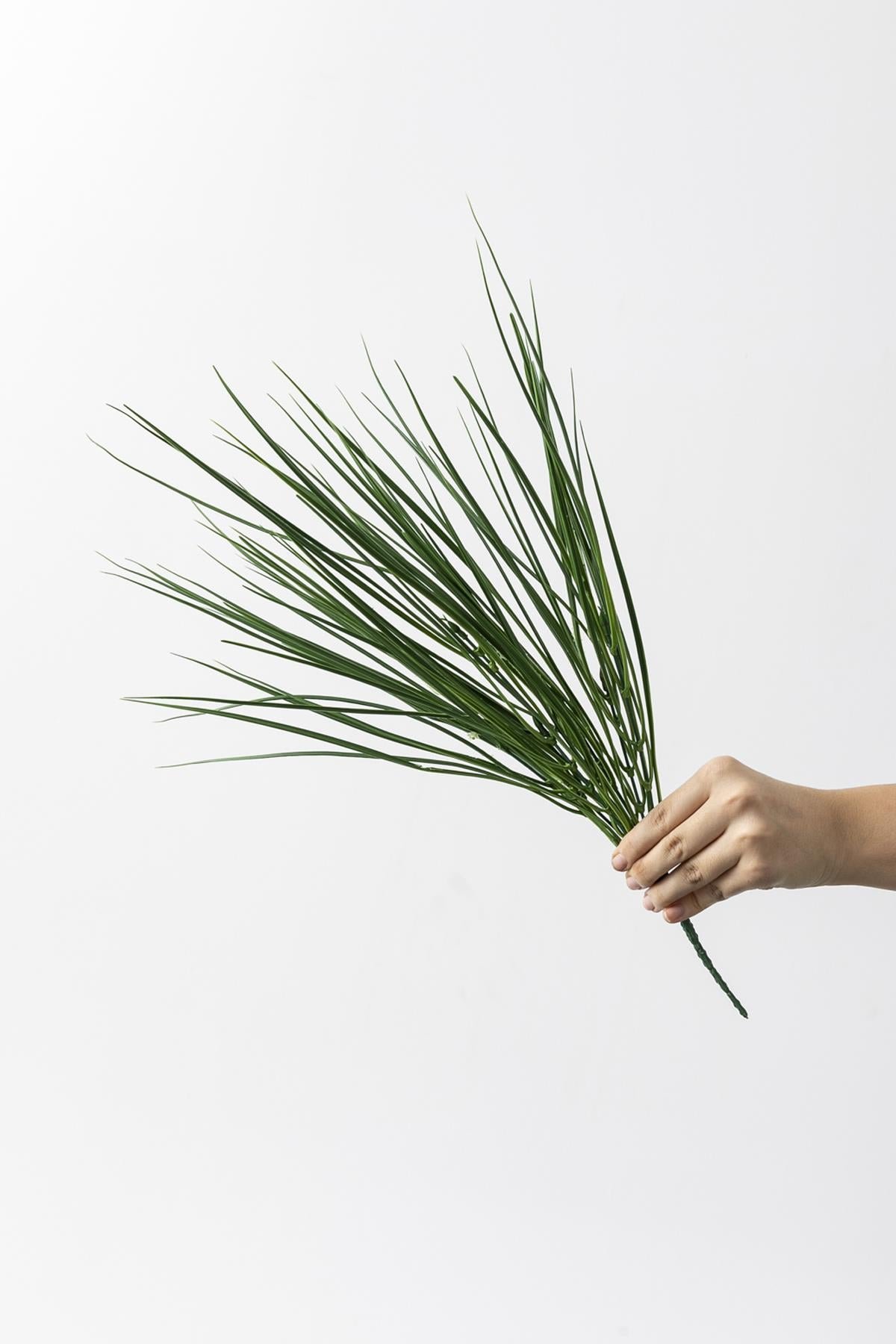 Dikey Dekor - yapay saz demeti acik yesil 50 cm 7 dal uv 4175 Toptan Yapay Saz Demeti Açık Yeşil 50 Cm 7 Dal (Uv) - Görsel 3