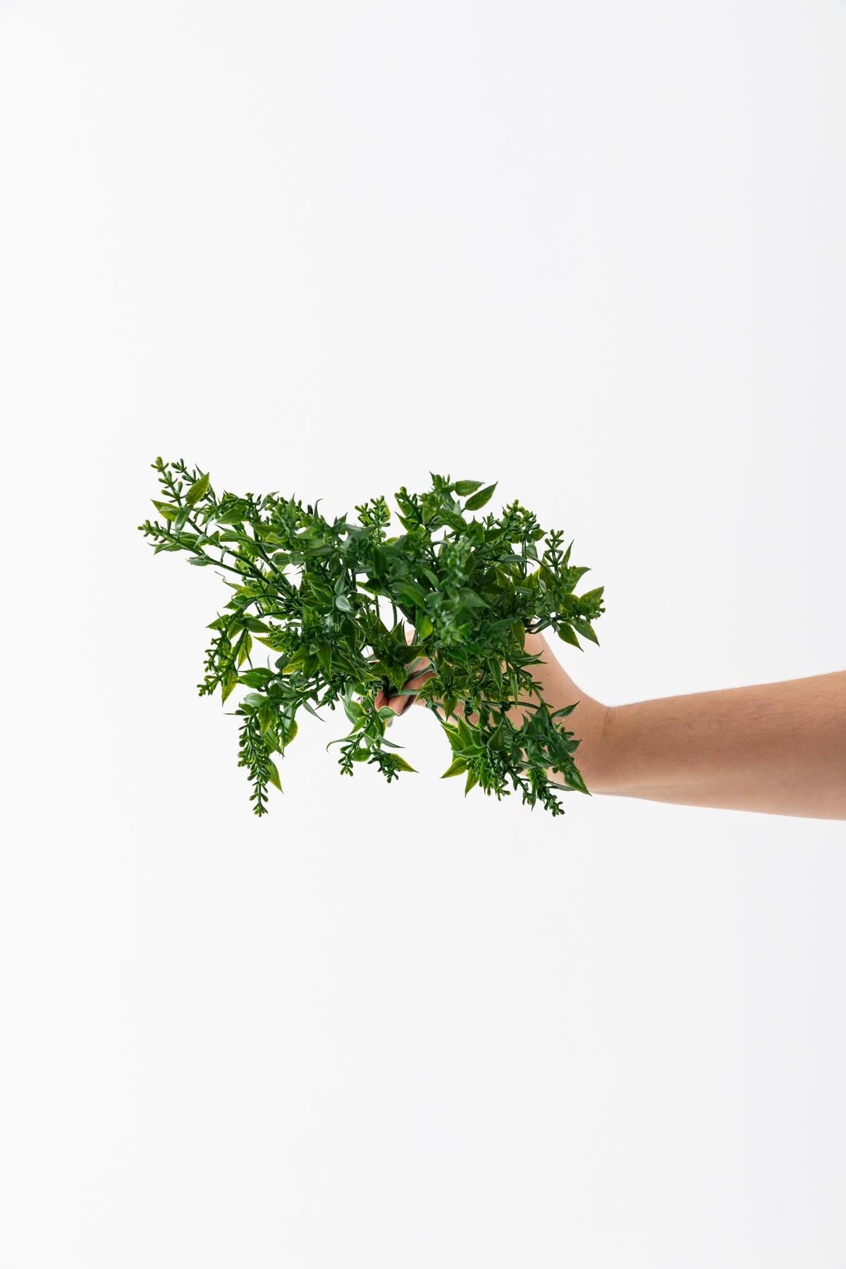 Dikey Dekor - yapay zeytin cicegi demet yesil 35 cm 5 dal 7163 Toptan Yapay Zeytin Çiçeği Demet Yeşil 35 Cm 5 Dal - Görsel 3