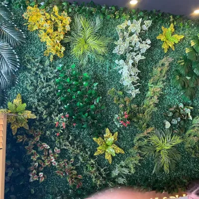 Yapay Dikey Bahçe Bellissimo Cafe