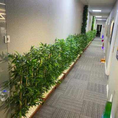 Yapay Dikey Bahçe Naturel Tıp Merkezi