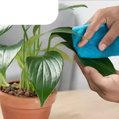 demo banner hakkımızda v3-1 bakım